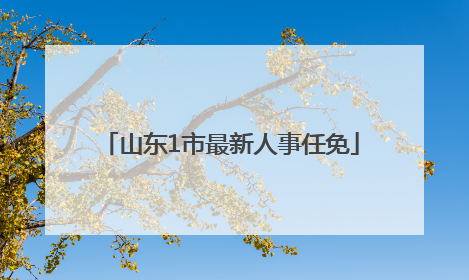 山东1市最新人事任免